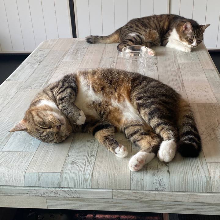 B41bf2ec 0c26 4ed5 b791 817adf8d9c58 1595221863832