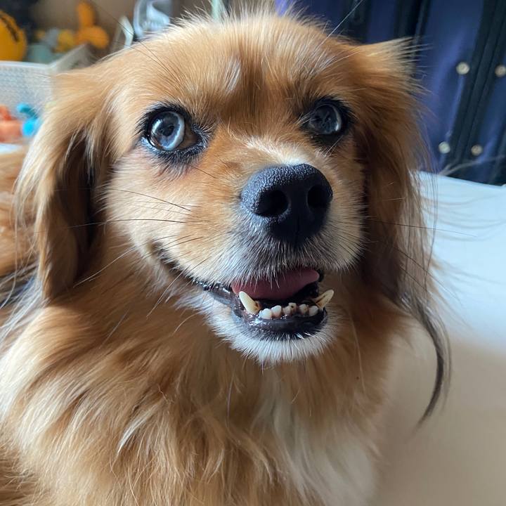 B41bf680 3eef 47a3 9628 526956483977 1656720451771