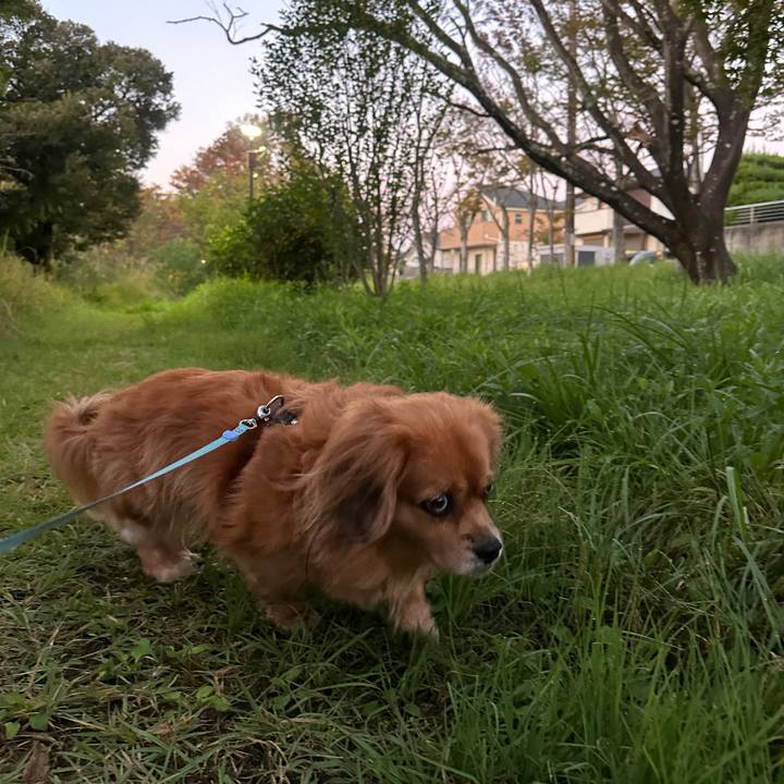 B41c4a06 7463 4cac abe7 f0c6e06dbcf4 1698095986484