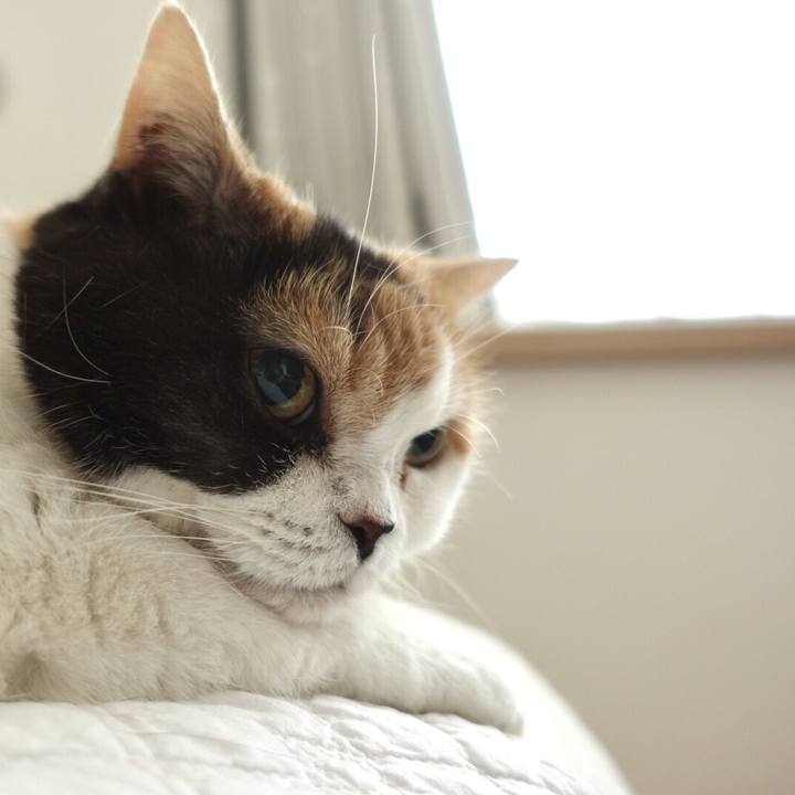 B41c5e5c 96c7 41f3 9e52 388a6d2d361f 1556715717772