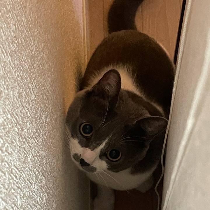 B41c5ed1 927e 4621 9f38 aa2b86ae31ae 1625104449707