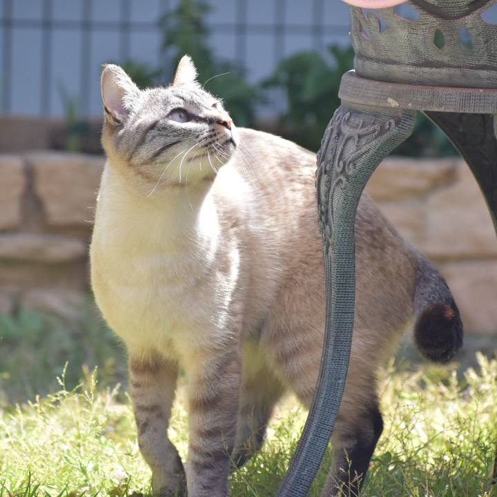 B41c8dcf dc1b 45c6 89e3 8a3bafd520af 1553395110394