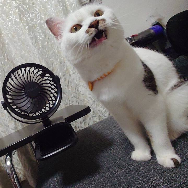 B41cb5d3 03d8 4598 a42c b53fb34f5b33 1596862366469