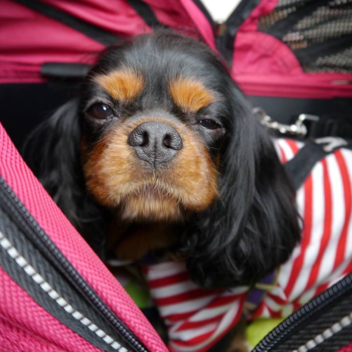 B41cb948 dd61 4099 9b59 a260e206a9cb 1511016248862