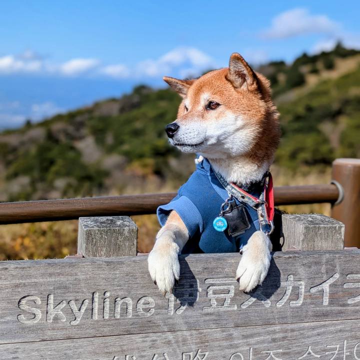 B41cea6b fa75 4d24 b410 09713c72b14a 1766121334266