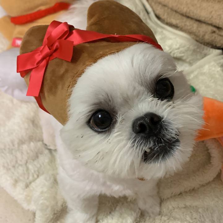 B41d1a15 1ed1 4752 93df 56c097aae5aa 1645621269305