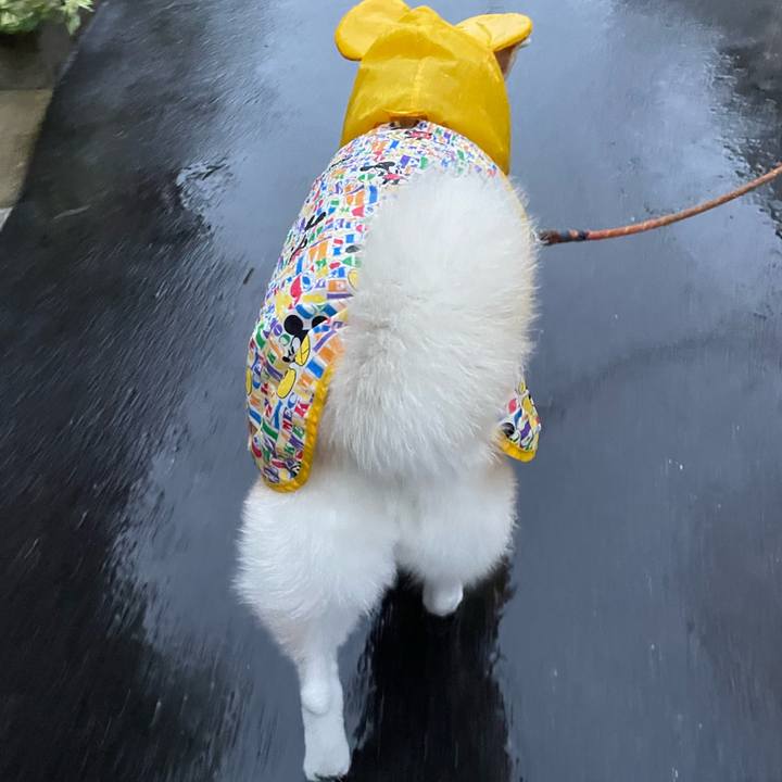 B41d38ce b354 4799 aa22 da0f569709ee 1652434235204