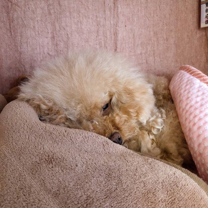 B41d5b5e c636 4e07 90bf 48054fa4b587 1531902953093