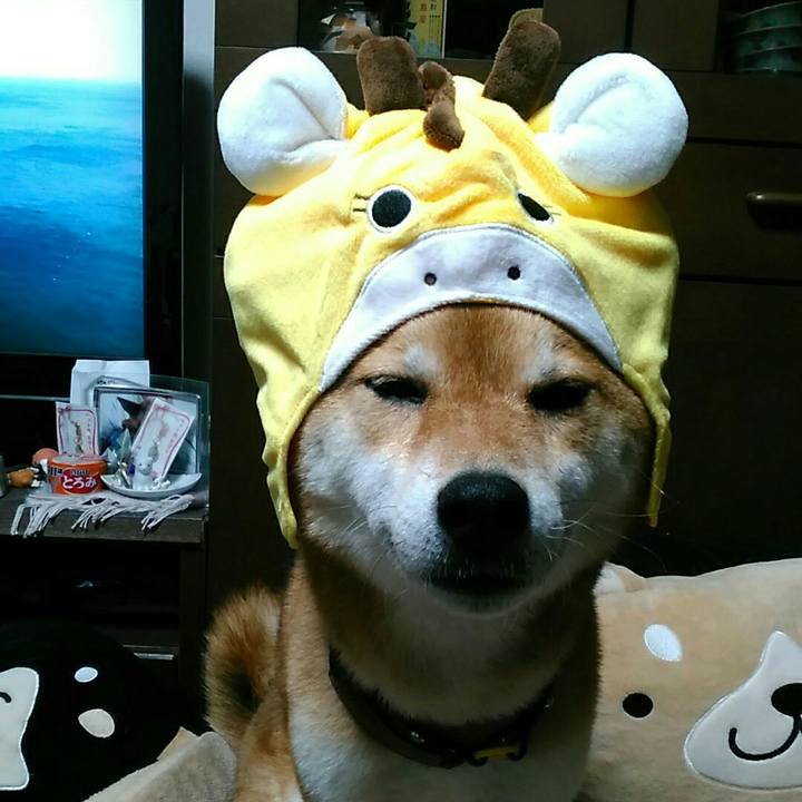 B41d663c c763 4c86 93e5 2fecaf940a56 1557575774898