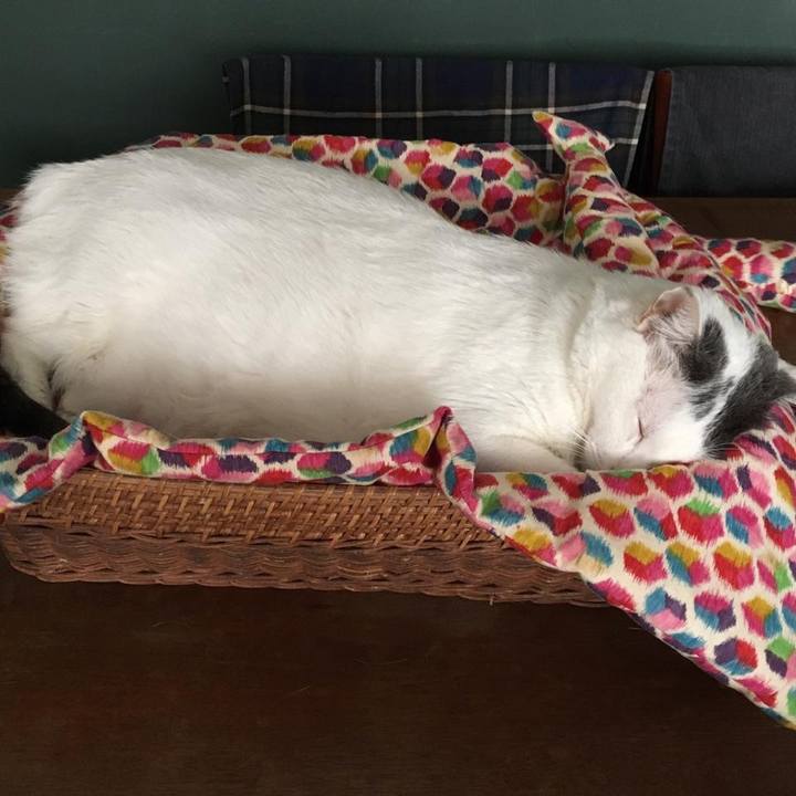 B41d7652 689b 4104 92c1 078d2ede198f 1550855115138