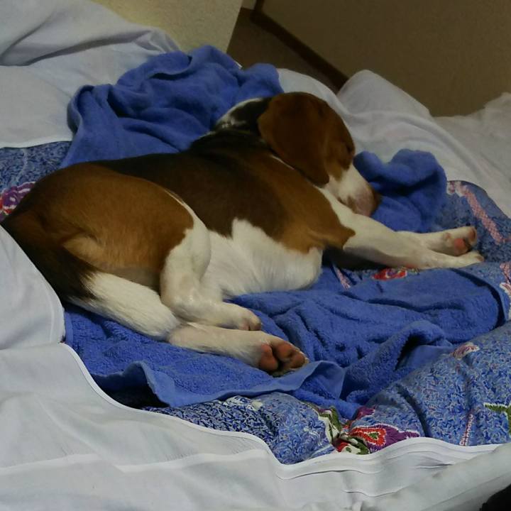 B41d7ed8 1da1 4dde a912 3d2e70dd178d 1518271327033