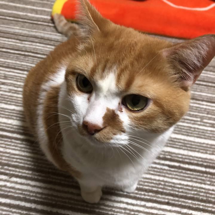 B41d9032 a0b4 4c43 916d 05bf8e3d4b07 1546783139021