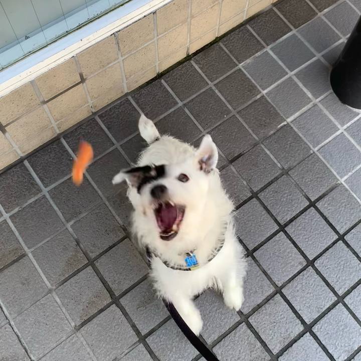 B41da254 bdd6 4bc3 a674 019d10716914 1727132670280