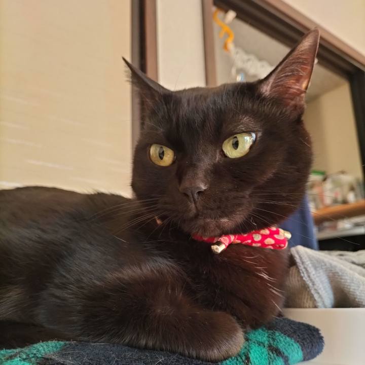 B41dc1fa d55f 4063 b9e0 53351c39566c 1640299923466