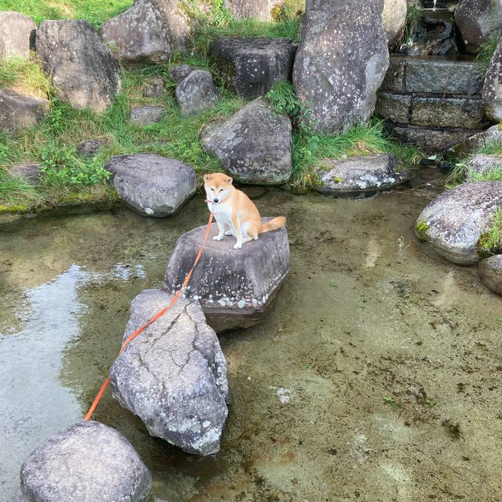 B41dc4db c742 4ab2 b2f8 d0f5d3d75742 1663569783316