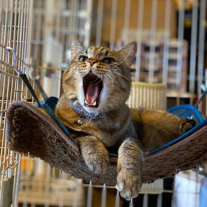 B41dcb64 e79b 493c 8c75 daf4c28bd9c9 1590132713873