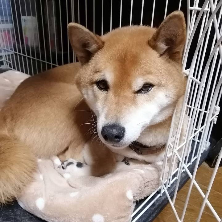 B41e1736 aa48 4f9f bb71 8acc52670a1b 1579947489013