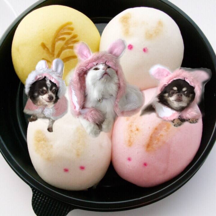 B41e29ba 8a82 4ff0 a309 820dcd73a006 1537099483753