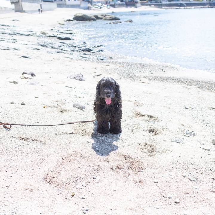 B41e3272 1e63 4e1d a4fb 7cce2b0e46ca 1554390444999