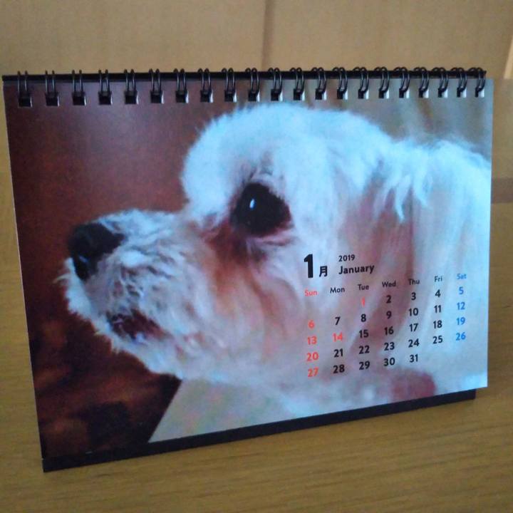 B41e74ee f8c6 401f aabe 620d1a814bc7 1548899739259