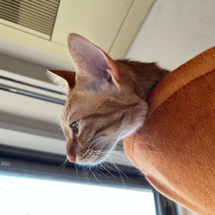 B41e7b90 f690 4666 b2c9 13017ed23de4 1646339120807