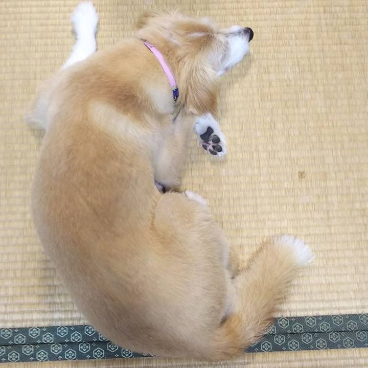 B41e80b9 c92b 40f1 a0ee c872406cadbc 1535769299713