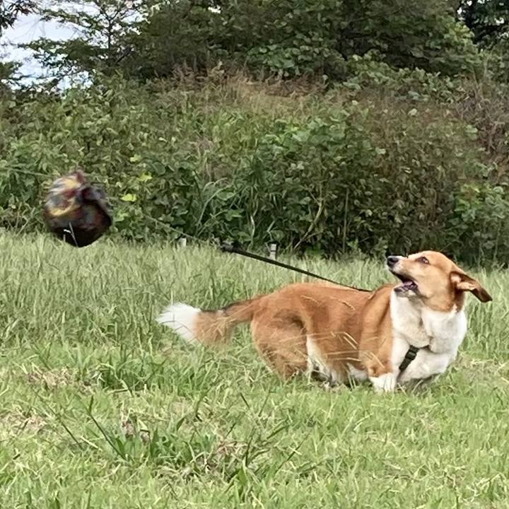 B41ec7ab d967 4fb3 acb7 da05798454e8 1761181266129