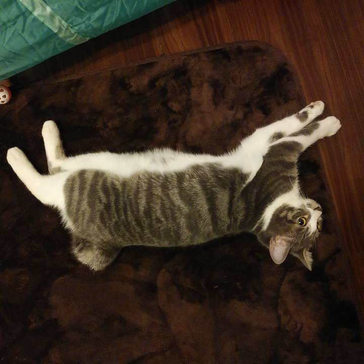 B41efe73 3e40 4b39 befb bef717d451be 1574261078376