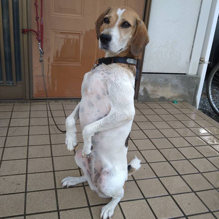 B41f0310 0f63 4061 91ef 419443296f85 1660622359824