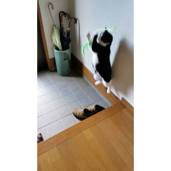 B41f0a5c 1c43 4c17 98fe 50d5ec6dec1a 1667791799630