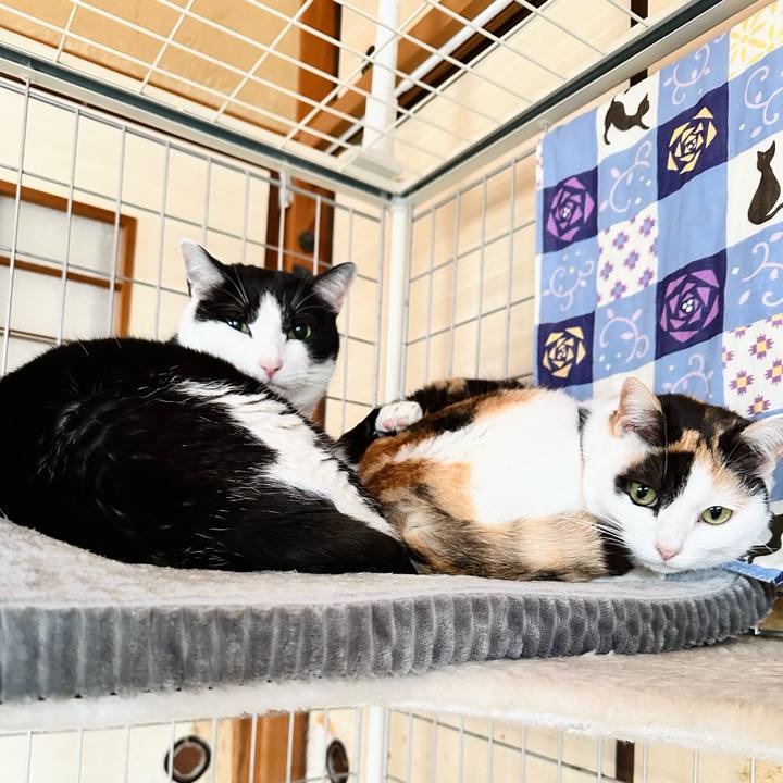 B41f15c9 066b 422d b688 dd6ad824e13f 1710466689201