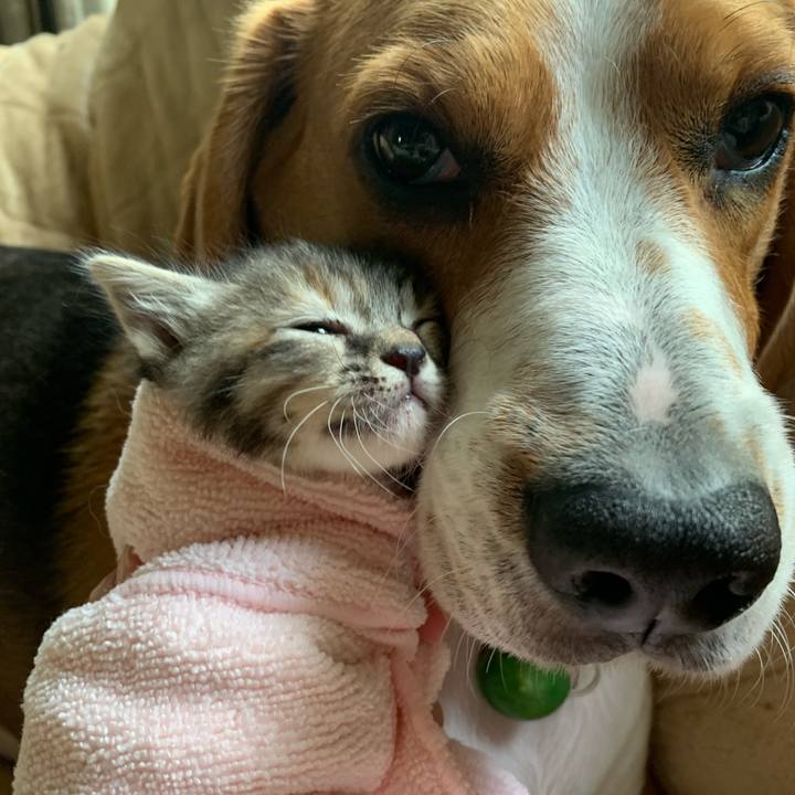 B41f1d7a fd7e 418e bfbc de549f94b025 1588213589662