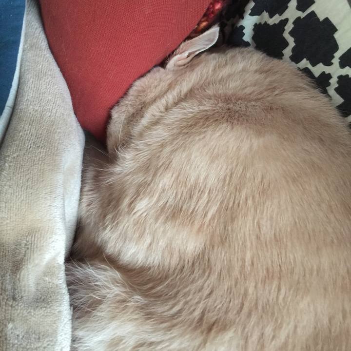 B41f1d96 b533 4ee9 92ff dca34490b6ac 1573520976716