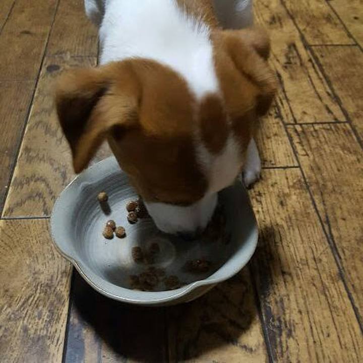 B41f449f 201f 4ede add6 d050b73be324 1550656559712