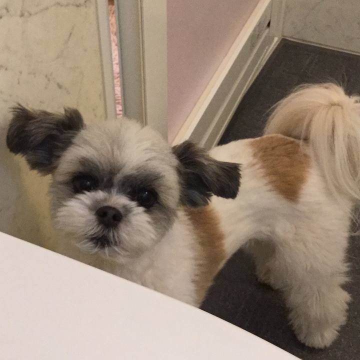 B41f537b dcfe 43c1 a45c a898c9ce8999 1516132654604