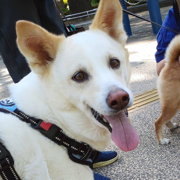 B41f5cac 71dc 4d97 8f30 82fb52b6dc0c 1653782768313