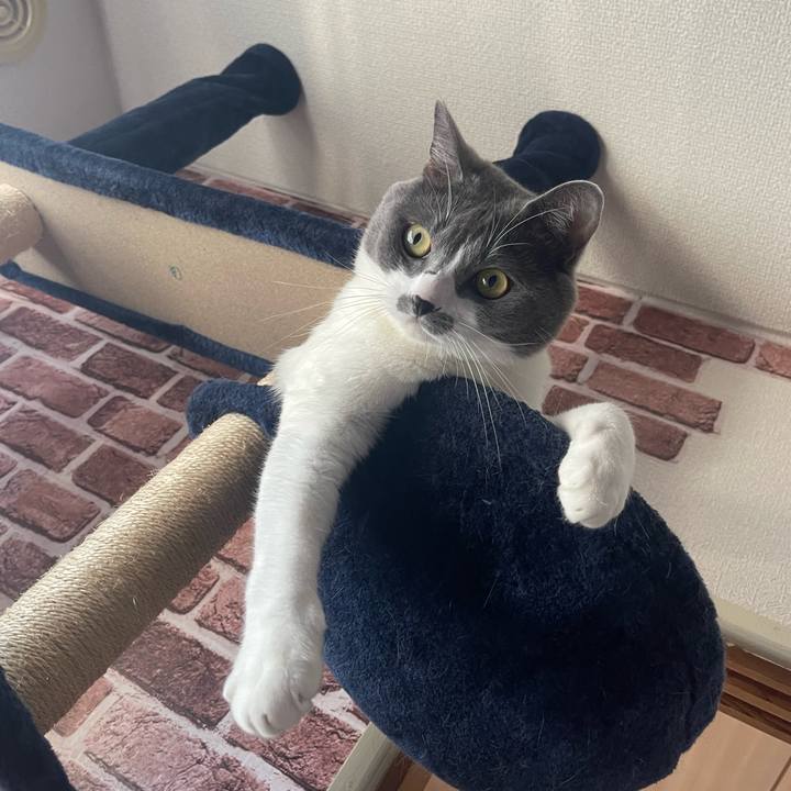 B41f8ea5 4864 4ae5 b55d d4c2f5b79bce 1664172082979