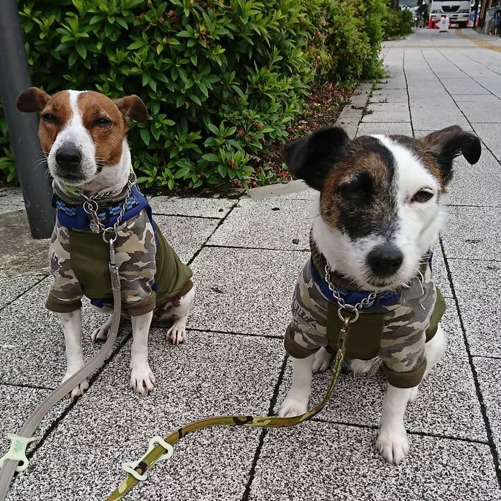 B41f8f94 54f0 413a b606 b2ab6ee6a0d1 1590104216227