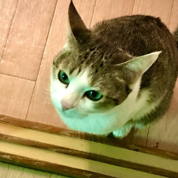 B41fa0b0 cc51 4c31 bb21 e5cc0fcb2120 1658783832100