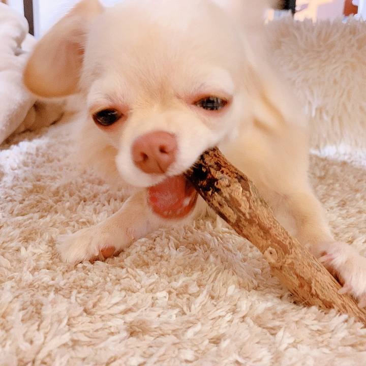 B41fe479 3a77 4868 9381 611538ffe46c 1623931980692