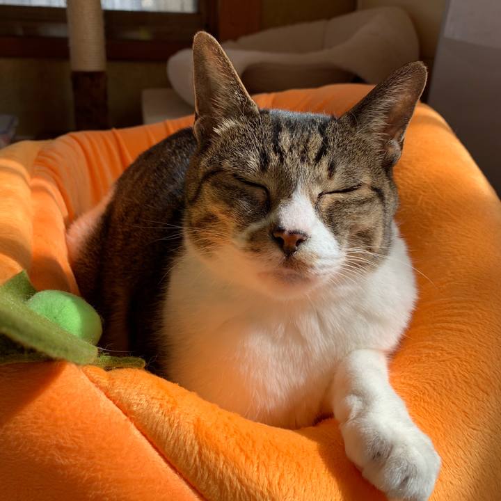 B420245a aae4 4c9c 8fa1 e423ceb892cc 1541037782161