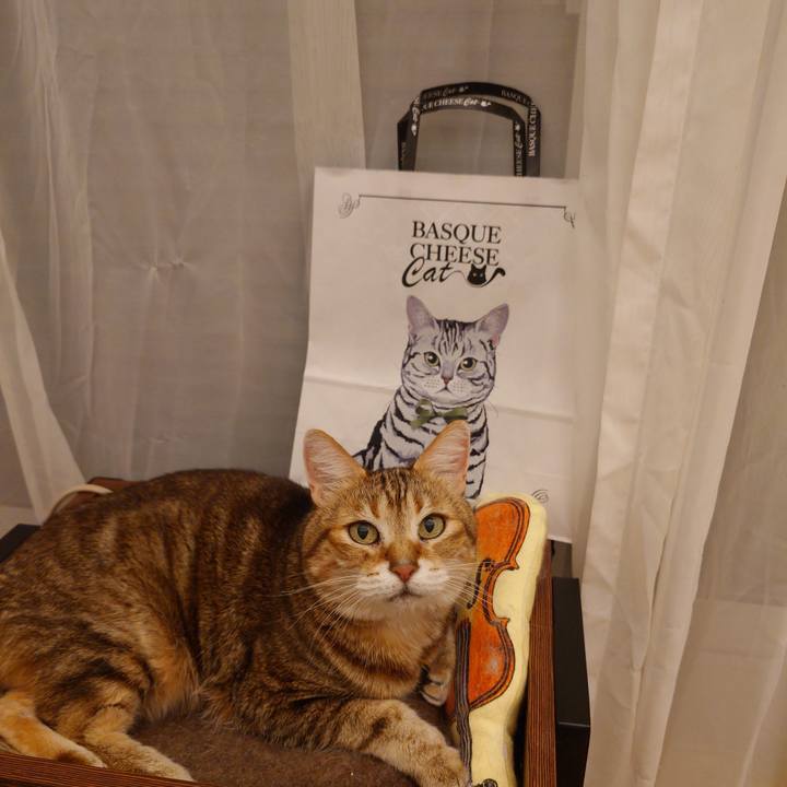 B420464b 472f 47fa a682 2d348f1f3eb3 1771161140645