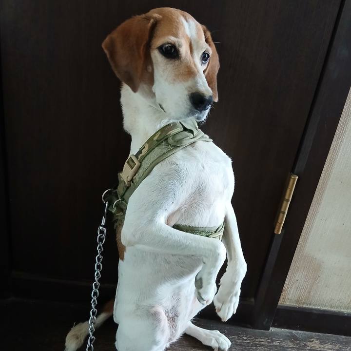 B4206c8a 90e7 4403 b456 30c82995dbc3 1755949619101