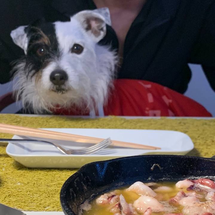 B42087b1 940e 4f9c 99f5 0cc8983a8e70 1645951321855