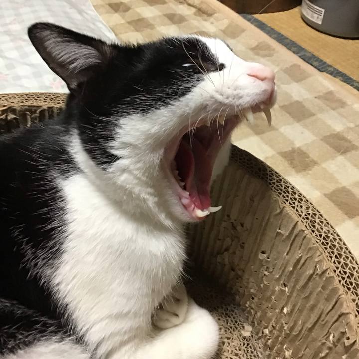 B420aff7 b07b 41aa 9a85 f4fb27e69d4a 1729929031028