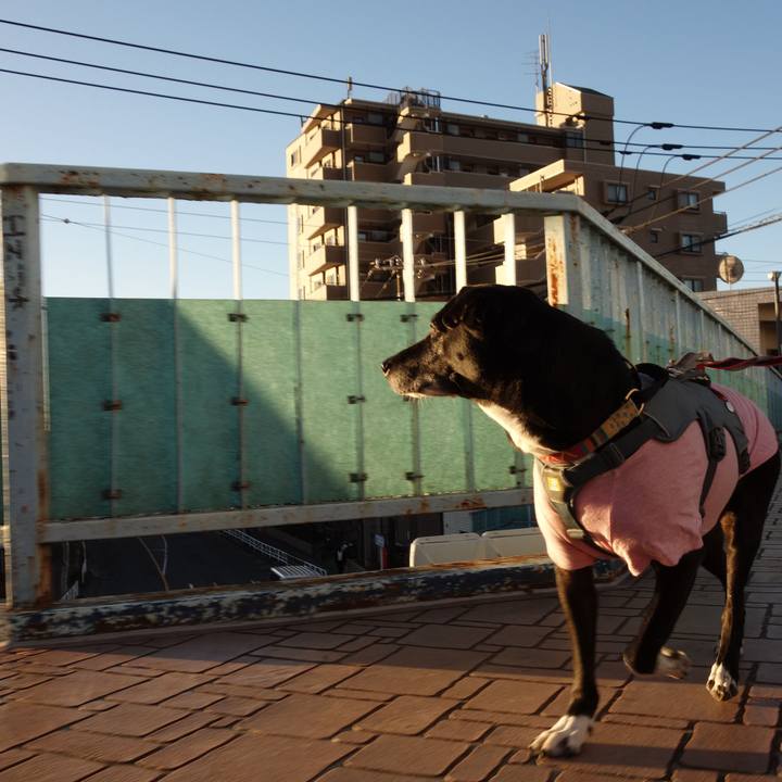 B420bb38 b0e3 448b b717 ff6ec2c1f7f1 1736295064402