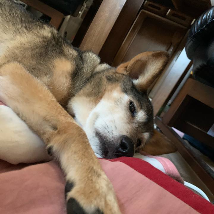 B420c949 f2c2 47ef 89eb a7c7da692945 1580910355849