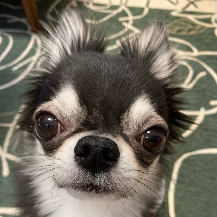 B4210e75 4c61 4ebd bf57 ea0debaf1ae5 1642291832407