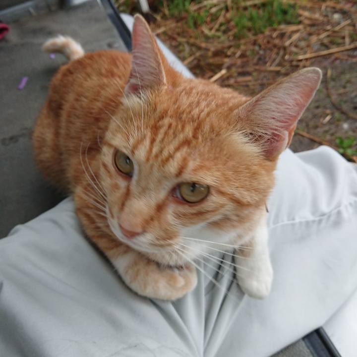 B4212d4f 2a01 4938 b08a 08a134ec443d 1594111564521