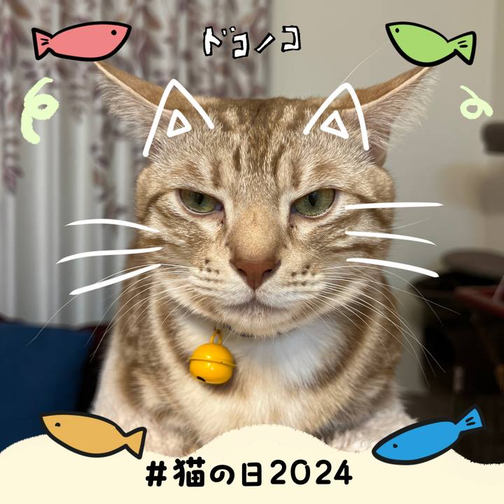 B4214164 2459 48ad 9e92 9f04ceb8602b 1708554665391